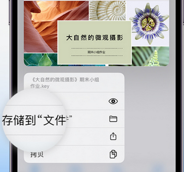 谷城apple维修中心分享iPhone文件应用中存储和找到下载文件