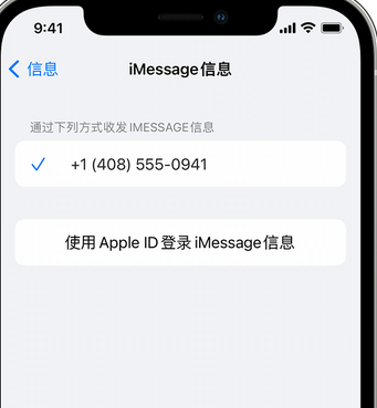 谷城apple维修iPhone上无法正常发送iMessage信息 