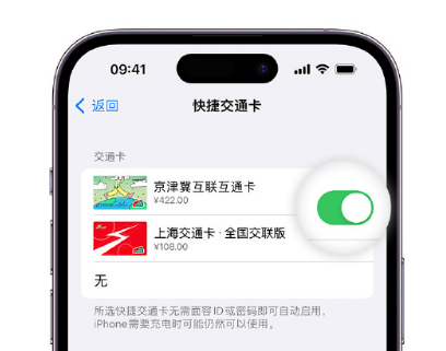 谷城apple维修点分享iPhone上更换Apple Pay快捷交通卡手绘卡面 