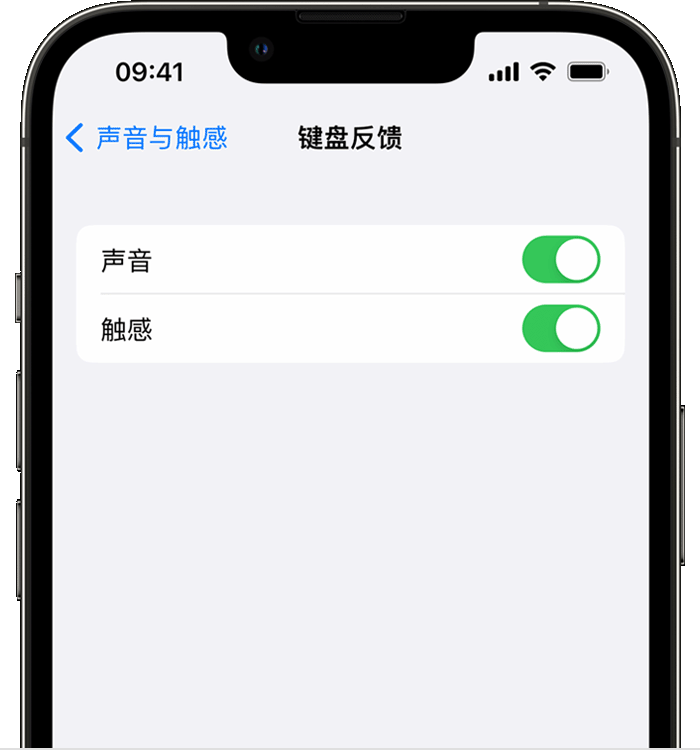 谷城苹果14维修店分享如何在 iPhone 14 机型中使用触感键盘 