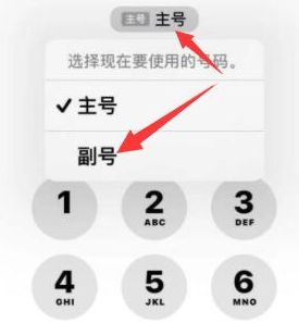 谷城苹果14维修店分享iPhone 14 Pro Max使用副卡打电话的方法 