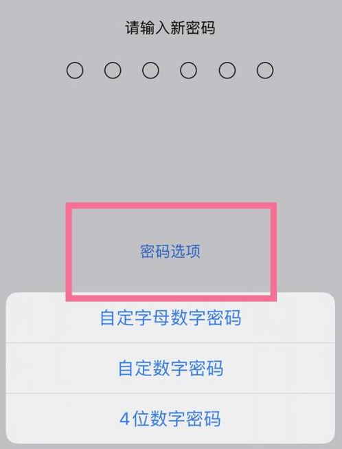 谷城苹果14维修分享iPhone 14plus设置密码的方法 