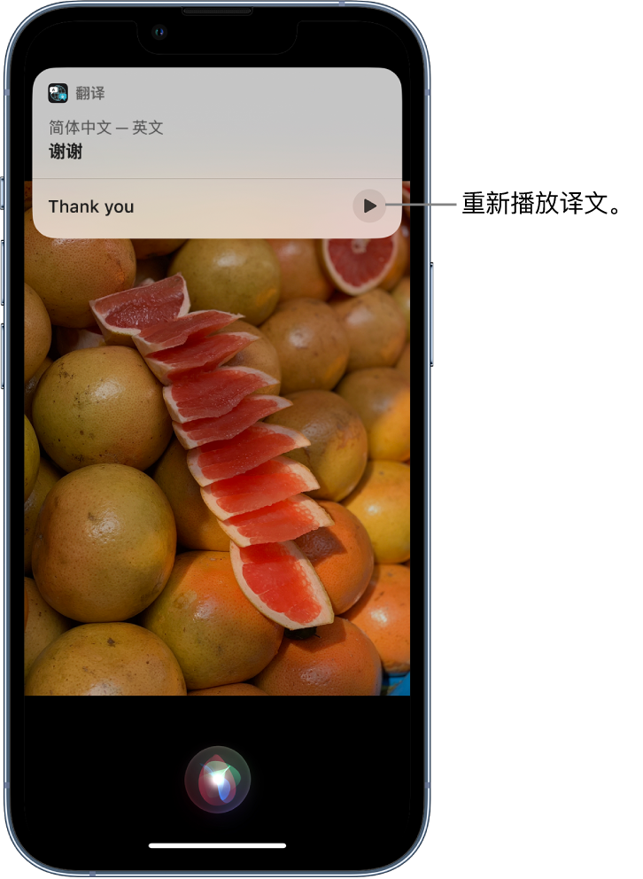 谷城苹果14维修分享 iPhone 14 机型中使用 Siri：了解 Siri 能帮你做什么 