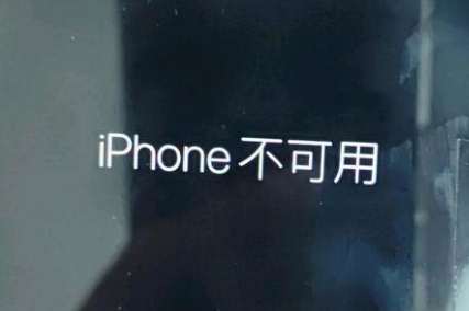 谷城苹果服务网点分享锁屏界面显示“iPhone 不可用”如何解决 