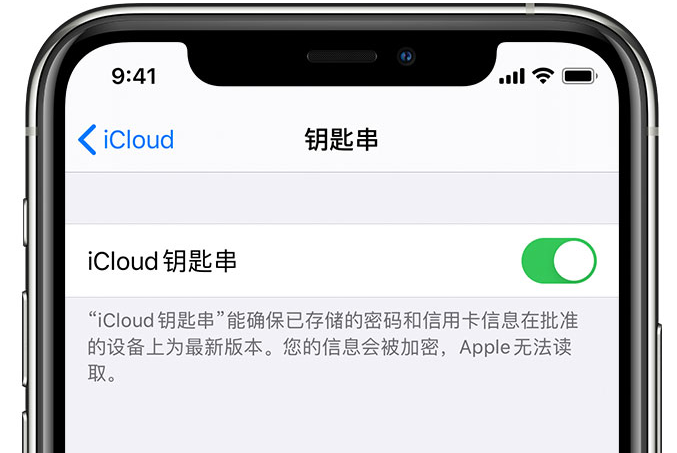 谷城苹果手机维修分享在 iPhone 上开启 iCloud 钥匙串之后会储存哪些信息 