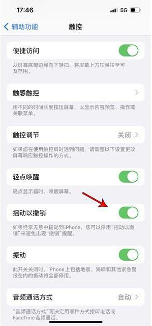 谷城苹果手机维修分享iPhone手机如何设置摇一摇删除文字 