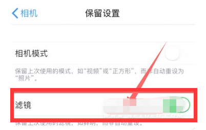 谷城苹果13维修分享iPhone13拍照有绿点是怎么回事 