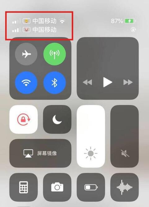 谷城苹果手机维修分享为 iPhone 12 双卡设置标签 